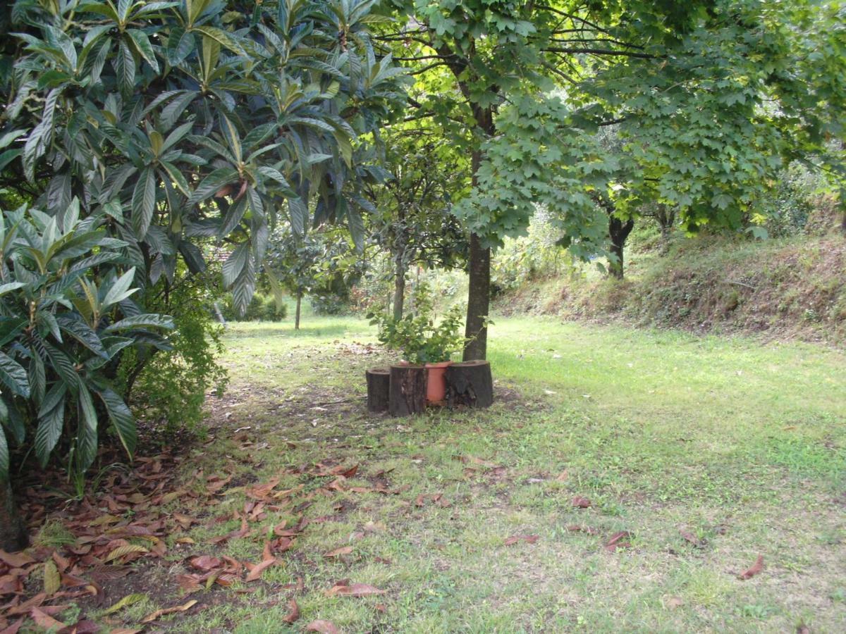 Il Fienile Villa Ripafratta Exterior foto